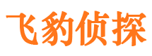 北辰侦探公司